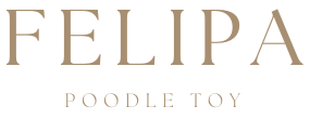 Caniche Toy Felipa